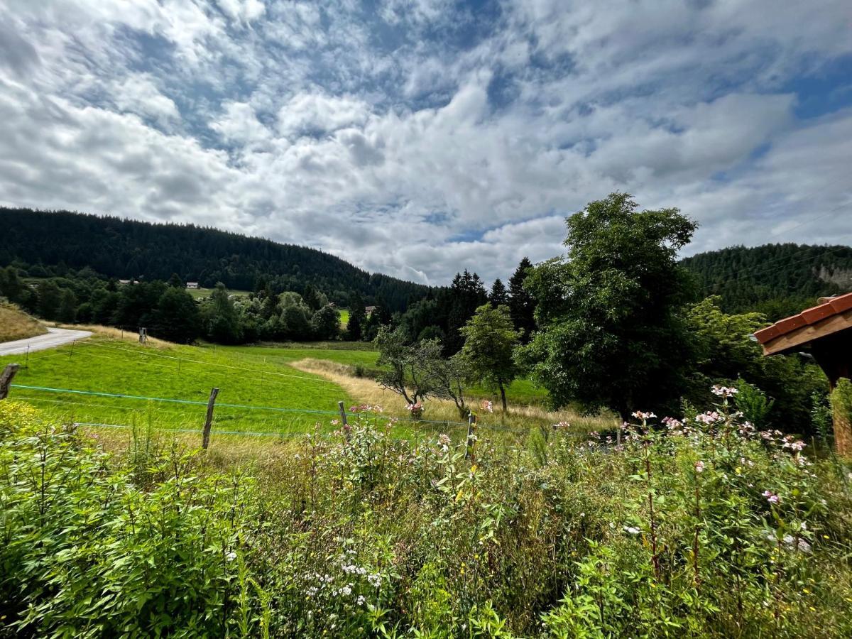 Stone Lake Luxury Lodge Gerardmer Ngoại thất bức ảnh